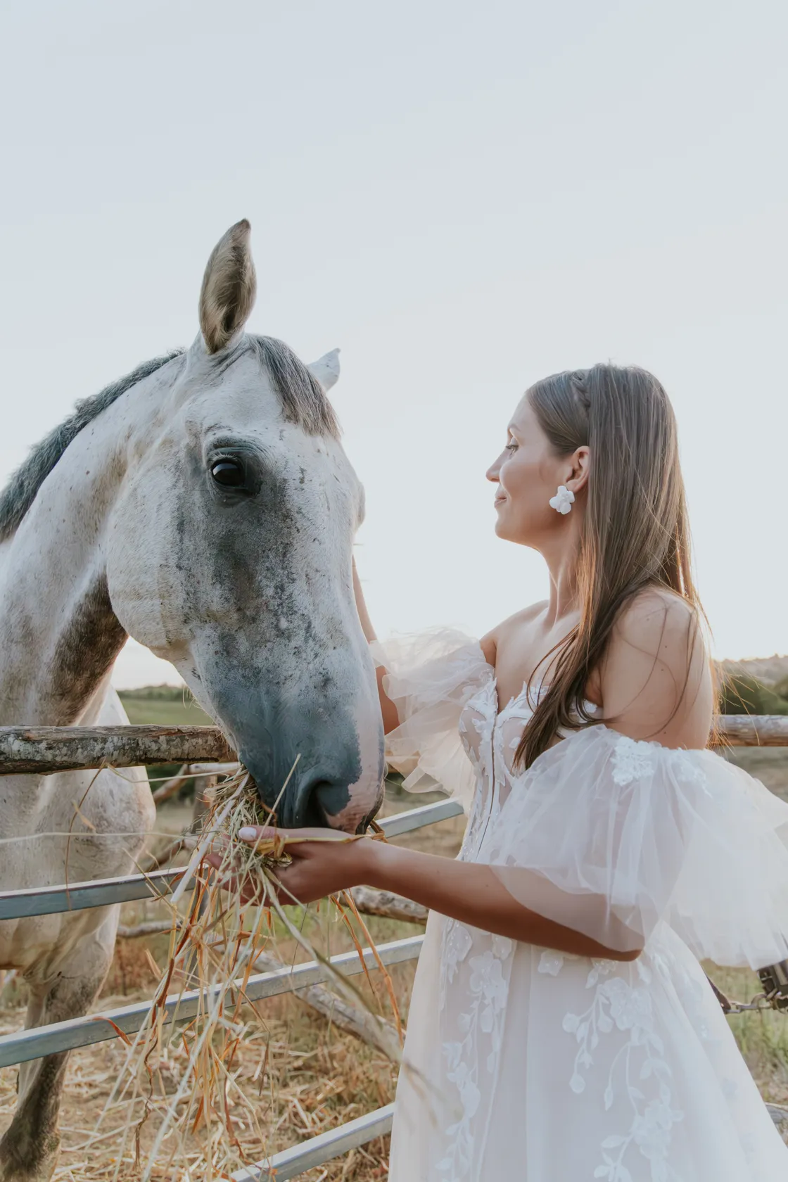 Wedding photo from Ariana & Anže