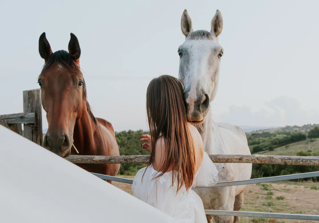 cover for Ariana & Anže